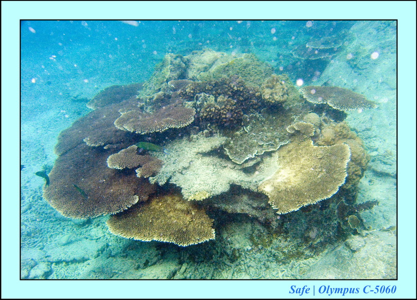 2008 - 07 - Leng Tengah - 103